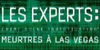 Les Experts Les Experts